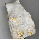 主形象