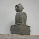 其他意见 12
