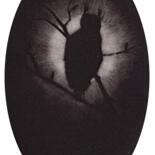 Image principale