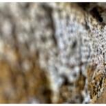 Artwork's surface or texture