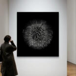 Artwork in situation