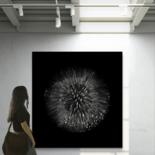 Artwork in situation