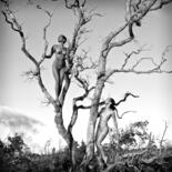 Photographie intitulée "Temptation Tree" par Roberto Manetta, Œuvre d'art originale, Photographie numérique