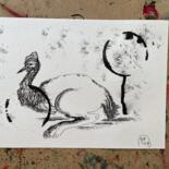 Additional views 5