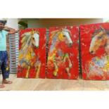 Additional views 3