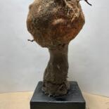 主形象