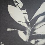 其他意见 7