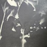 其他意见 7