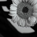 Details