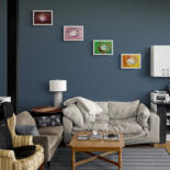 Artwork in situation