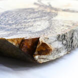 Surface ou texture de l'œuvre