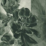 Image principale
