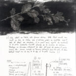 Image principale