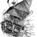 Image principale
