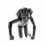 Photography titled "Singe Gon des Bamba…" by Jb Thiele, Original Artwork, Digital Photography