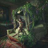 Immagine principale
