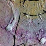 Superficie o struttura dell'opera d'arte