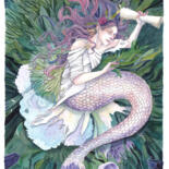 Belangrijkste afbeelding