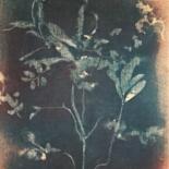 其他意见 12