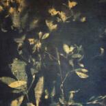 Additional views 12