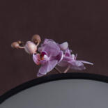 细节