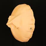 Vues supplémentaires 8