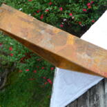 Aanvullende afbeeldingen 5
