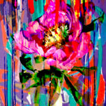 Image principale