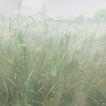 Ζωγραφική με τίτλο "meadow grasses" από Tatiana Prokshina, Αυθεντικά έργα τέχνης, Λάδι Τοποθετήθηκε στο Ξύλινο φορείο σκελετό