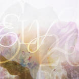 Aanvullende afbeeldingen 7