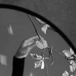 Details