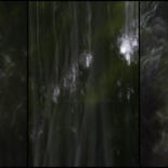 Image principale