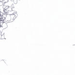 签名