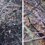 Additional views 12