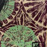 Επιπλέον θέα 5