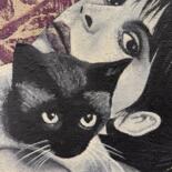 Επιπλέον θέα 5