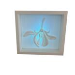 Dodatkowe odsłony 4