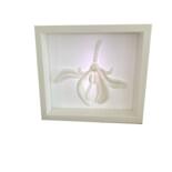 Dodatkowe odsłony 4