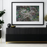 Werk ingelijst gepresenteerd