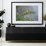 Werk ingelijst gepresenteerd