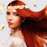 Belangrijkste afbeelding