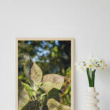 Werk ingelijst gepresenteerd