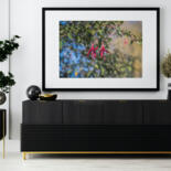 Werk ingelijst gepresenteerd