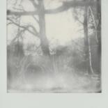 Image principale