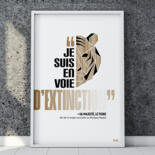 Vues supplémentaires 5