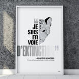 Vues supplémentaires 5