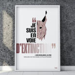 Vues supplémentaires 5