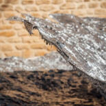 Dodatkowe odsłony 7