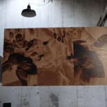 Additional views 11