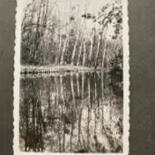 Additional views 6